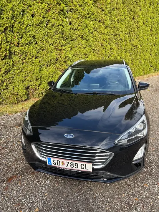 Ford Focus 2019 photo 2