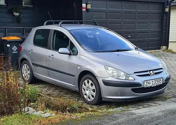 Peugeot 307 2004 photo 2