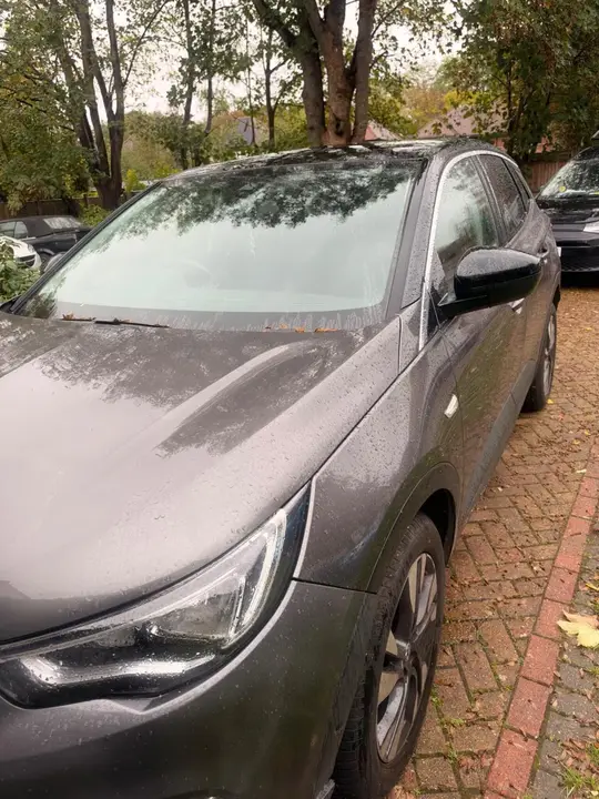 Vauxhall Grandland X 2018 photo 4