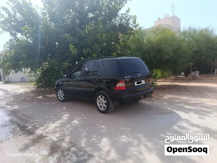 Mercedes-Benz M-Class 2006 photo 5
