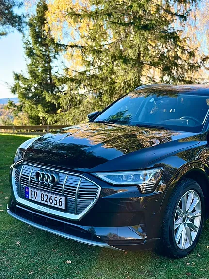 Audi E-Tron 2019 photo 4