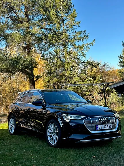 Audi E-Tron 2019 photo 5
