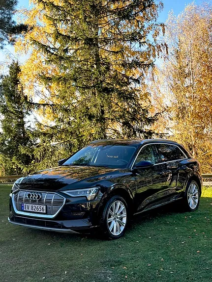 Audi E-Tron 2019 photo 2
