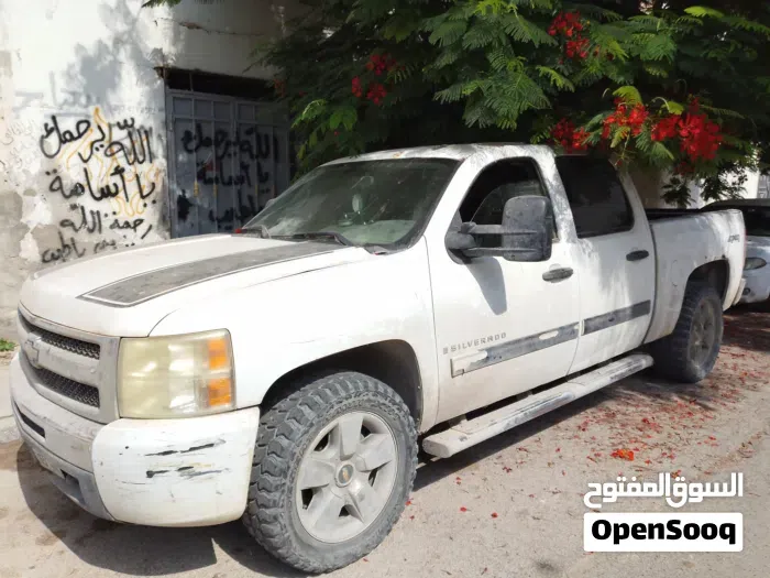 Chevrolet Silverado 2009 photo 3