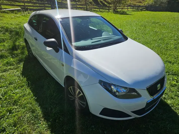 Seat Ibiza 2010 photo 2