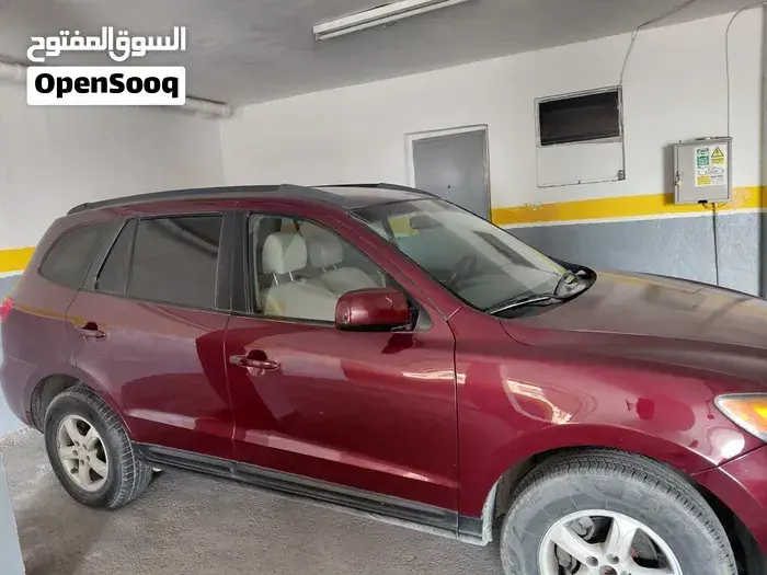 Hyundai Santa Fe 2008 photo 2