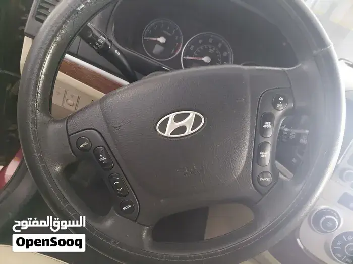 Hyundai Santa Fe 2008 photo 4