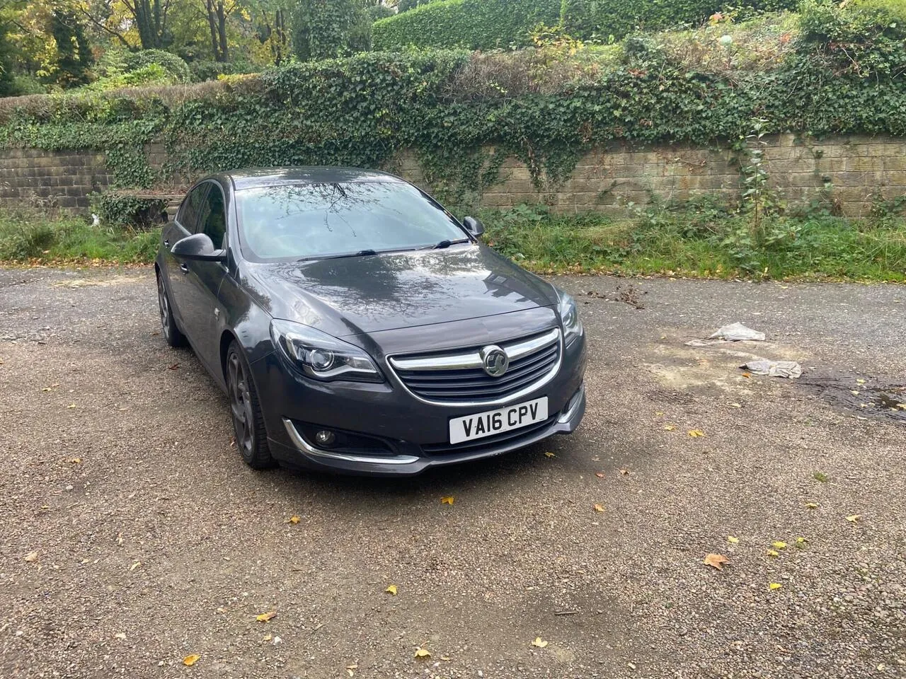 Vauxhall Insignia 2016 photo 2