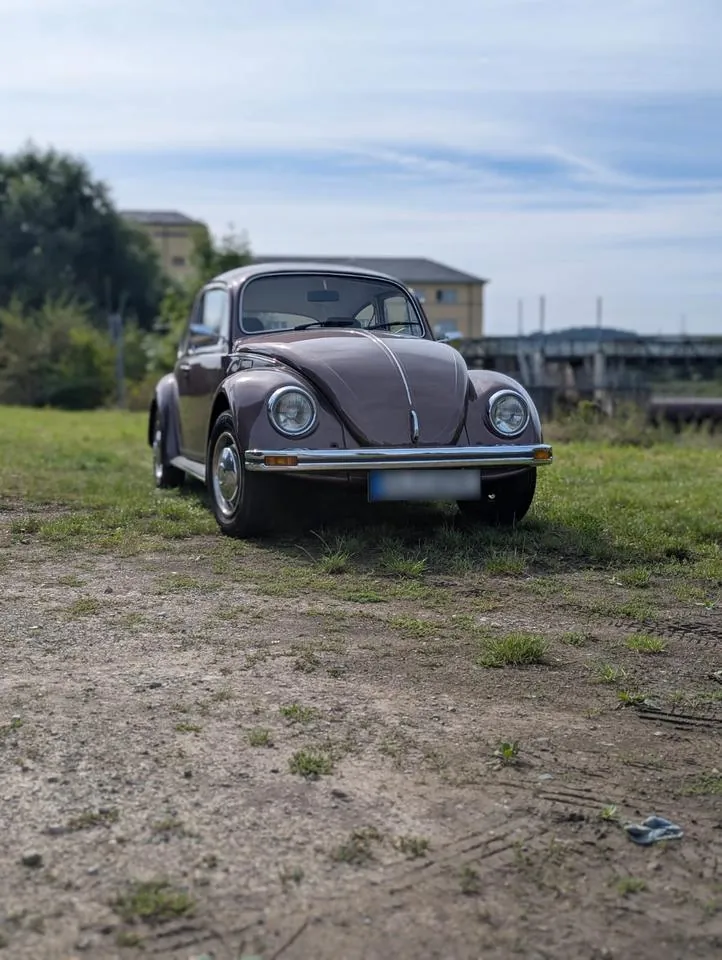 Volkswagen Käfer