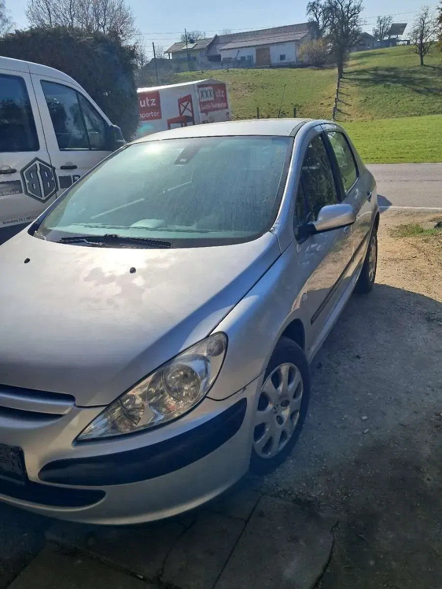 Peugeot 307 2003 photo 3