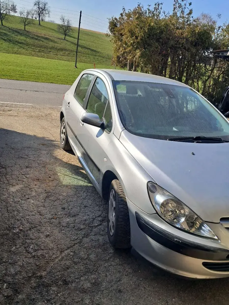 Peugeot 307 2003 photo 2