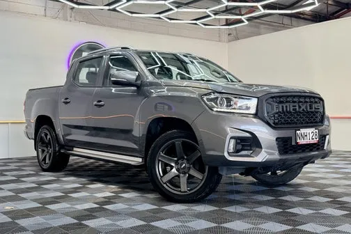 LDV T60