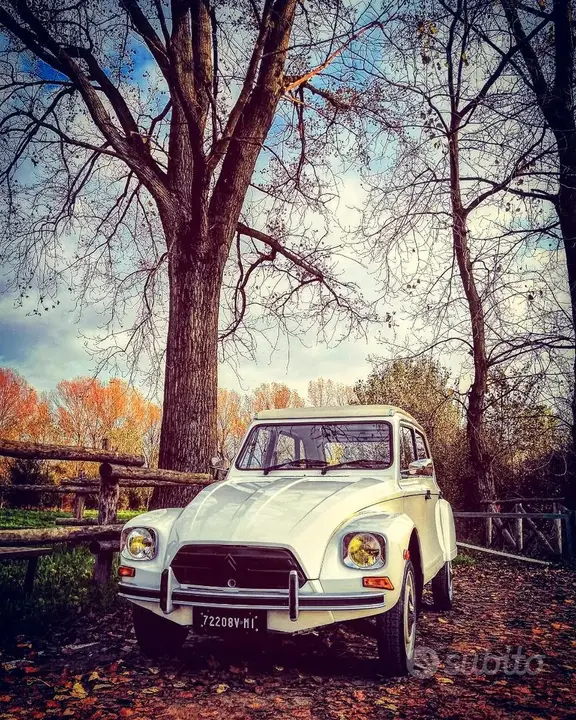 Citroen Dyane
