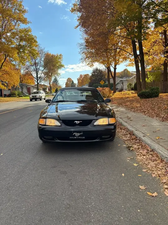 Ford Mustang 1994 photo 2