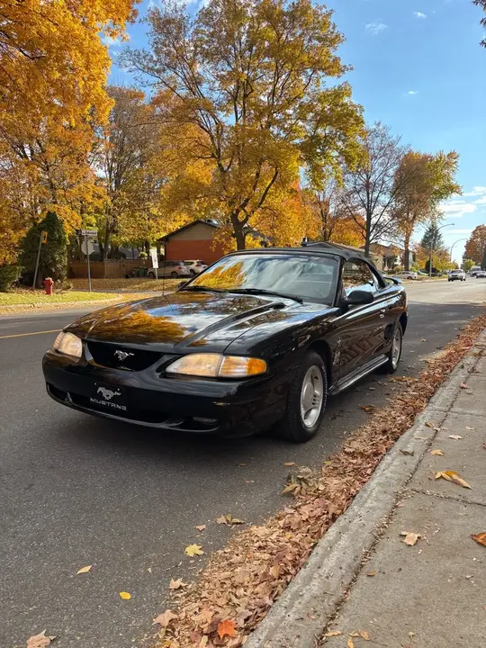 Ford Mustang