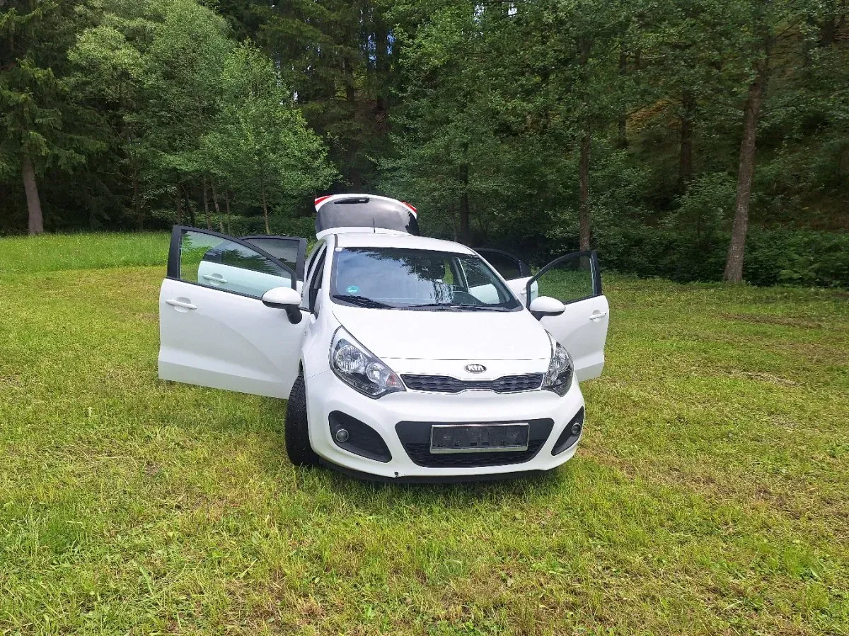 Kia Rio 2014 photo 2