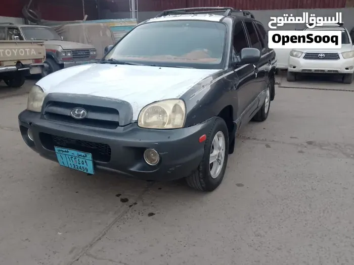 Hyundai Santa Fe 2005 photo 5