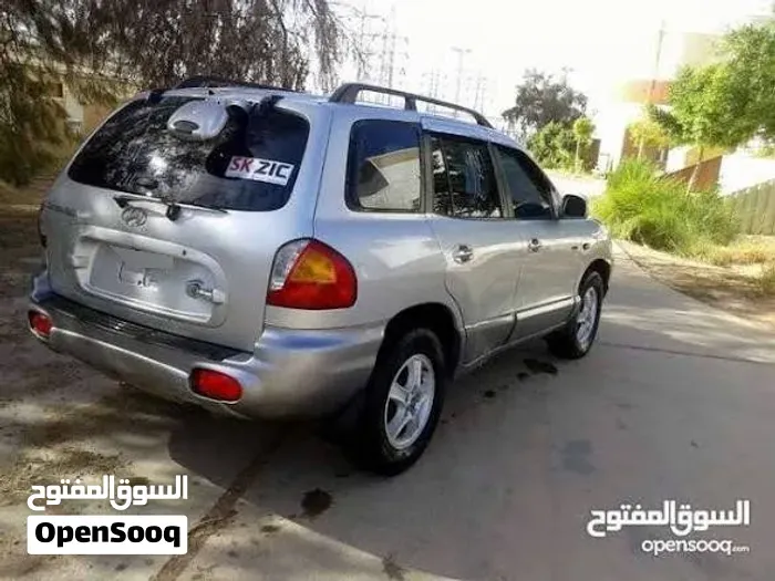 Hyundai Santa Fe 2005 photo 2