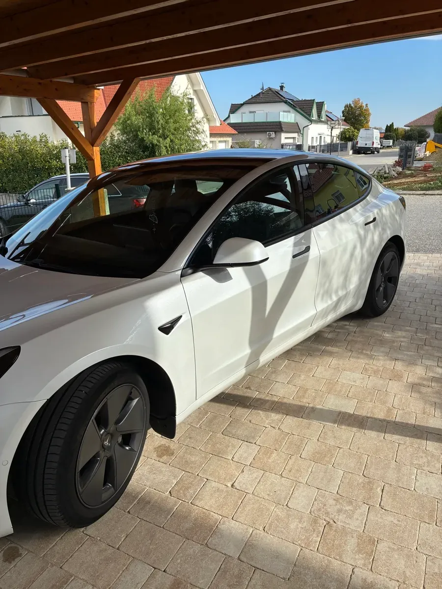 Tesla Model 3 2021 photo 2