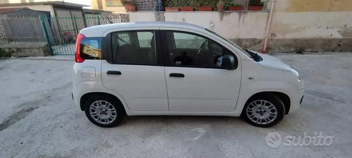Fiat Panda 2021 photo 3