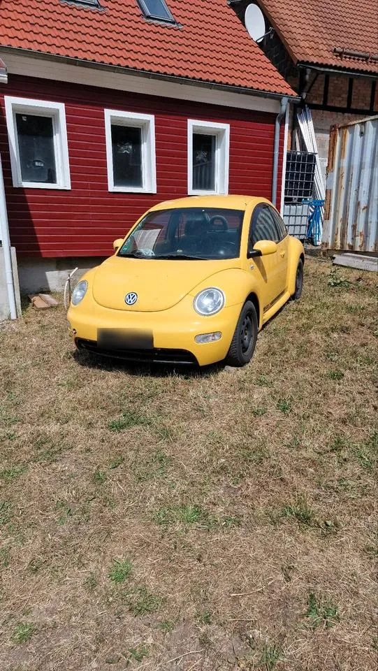 Volkswagen New Beetle