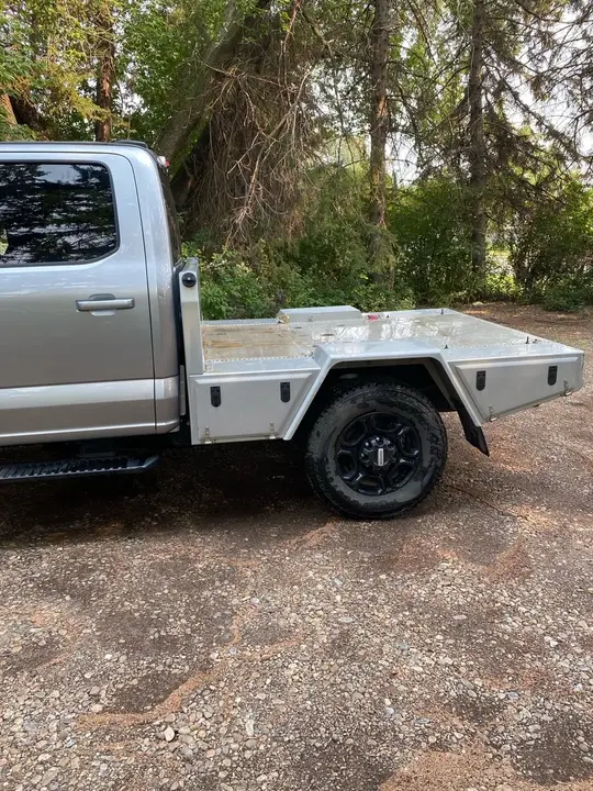 Ford F350 2024 photo 4