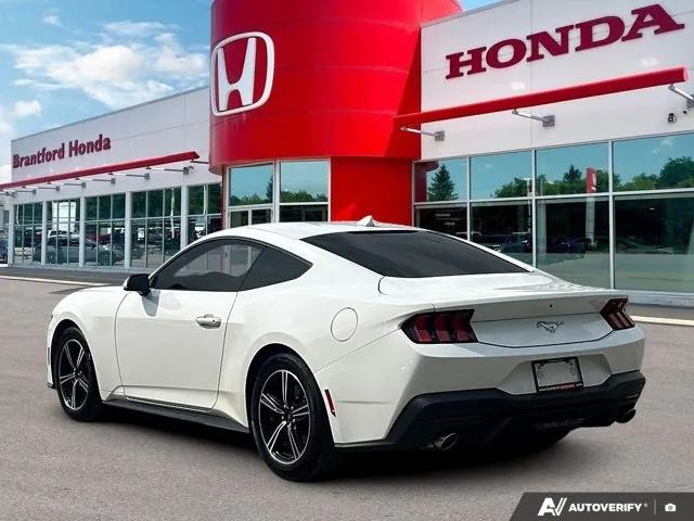 Ford Mustang 2024 photo 5