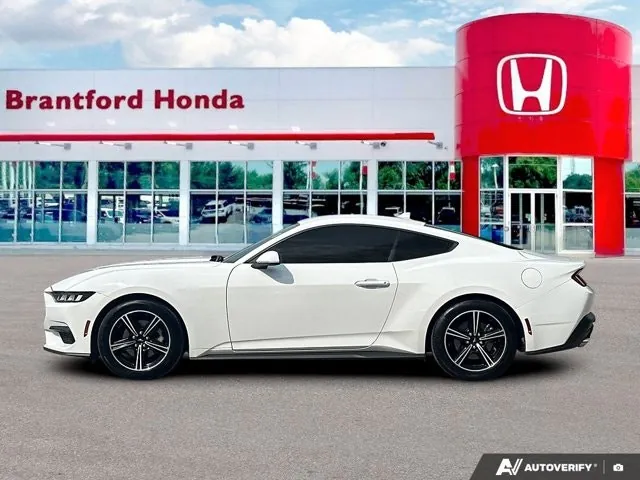 Ford Mustang 2024 photo 2