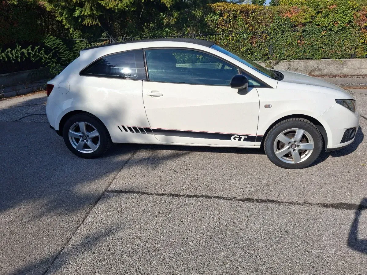Seat Ibiza 2011 photo 2