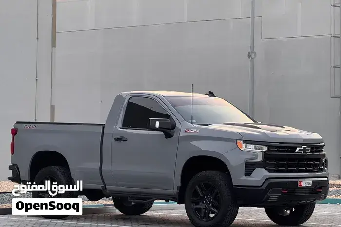 Chevrolet Silverado 2024 photo 2