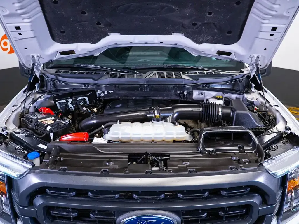 Ford F-150 2023 photo 5
