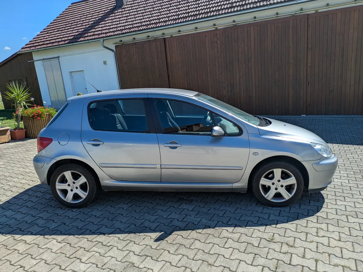Peugeot 307 2004 photo 2