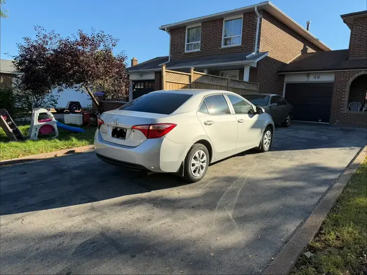 Toyota Corolla 2019 photo 5
