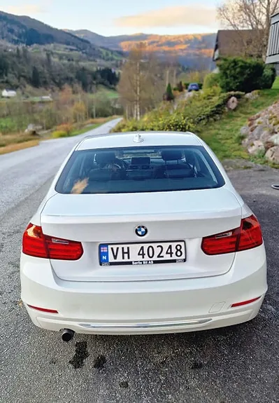 BMW 316D 2012 photo 4