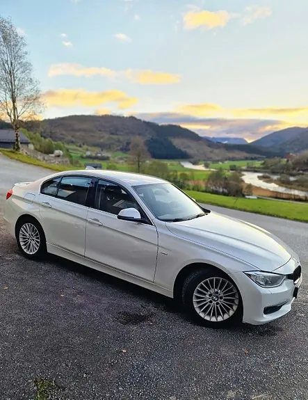 BMW 316D 2012 photo 3