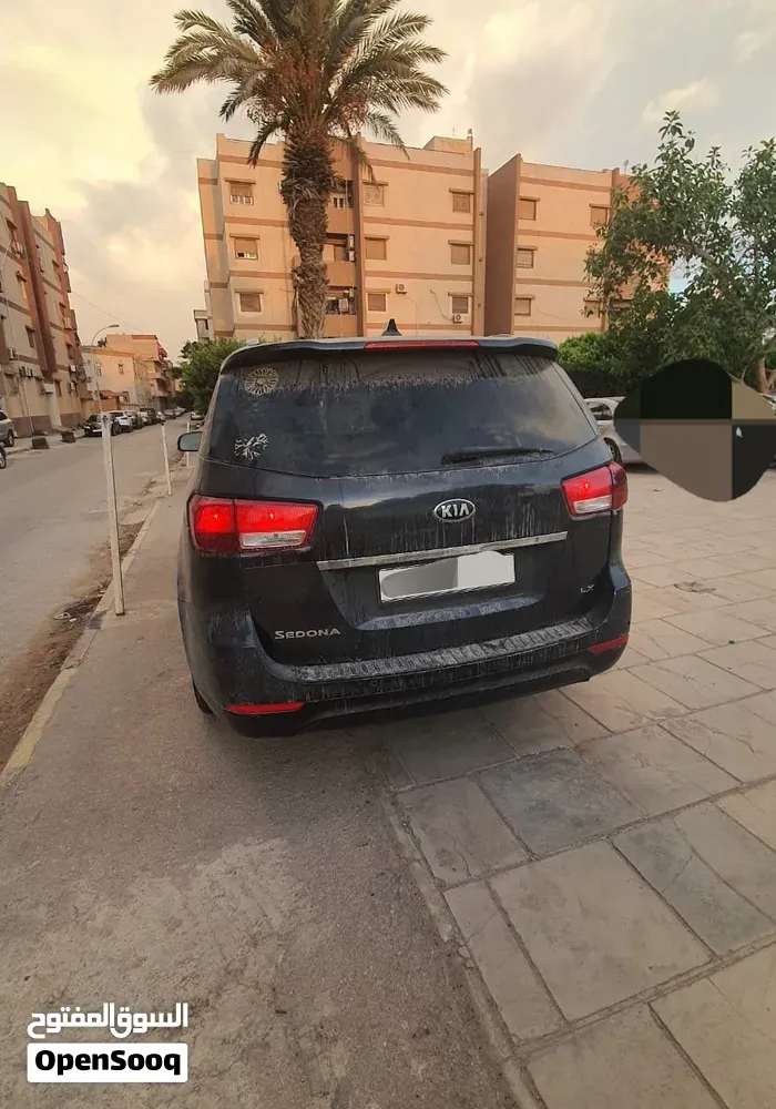Kia Sedona 2016 photo 2