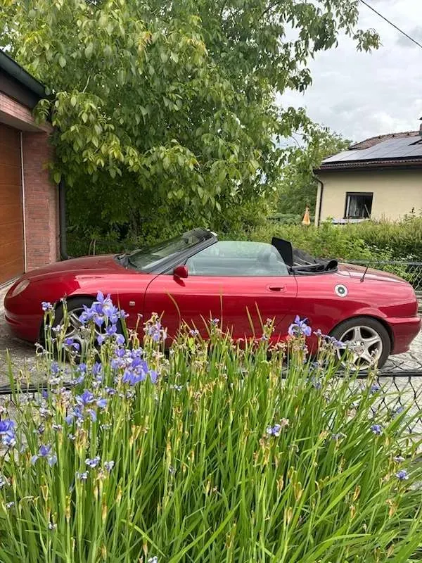 MG Mg F
