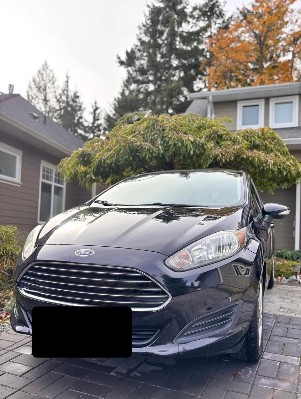 Ford Fiesta 2016 photo 2