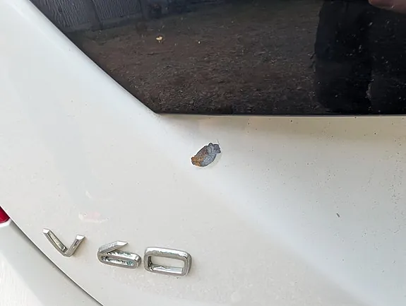 Volvo V60 2013 photo 4
