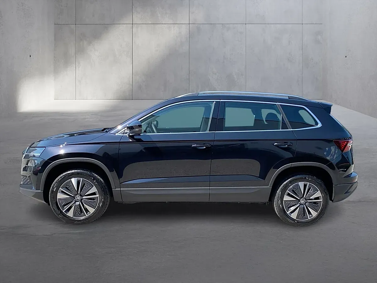 Skoda Karoq 2026 photo 2