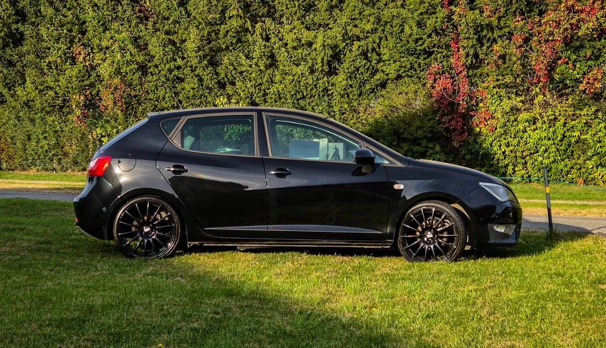 Seat Ibiza 2015 photo 2