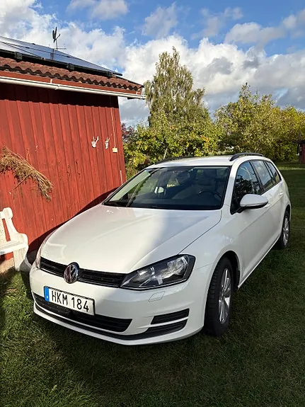 Volkswagen Golf Vii 2015 photo 3