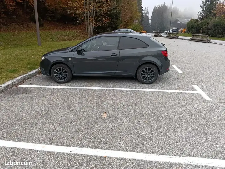 Seat Ibiza 2010 photo 2