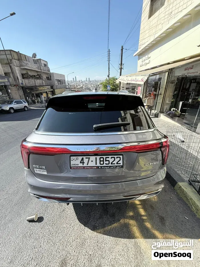 Hongqi E-Hs9 2021 photo 3