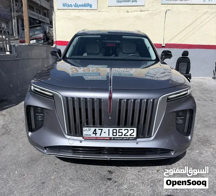 Hongqi E-Hs9 2021 photo 5