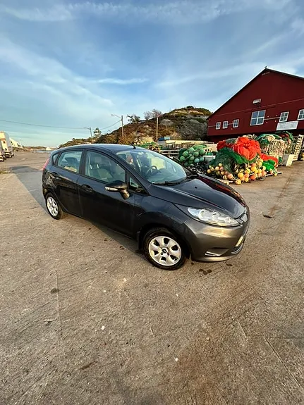 Ford Fiesta 2010 photo 4