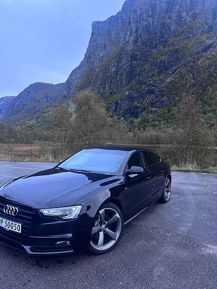Audi A5 2014 photo 2