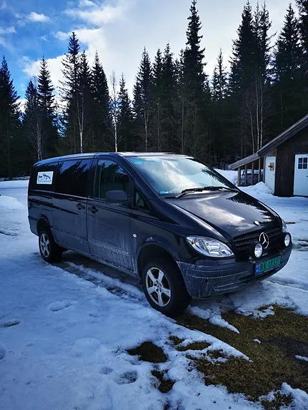 Mercedes-Benz Vito 2010 photo 2