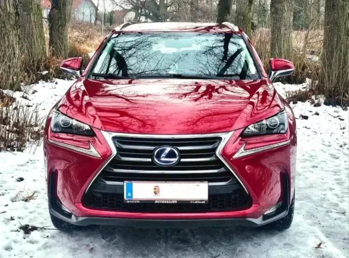 Lexus Nx 300H 2015 photo 3