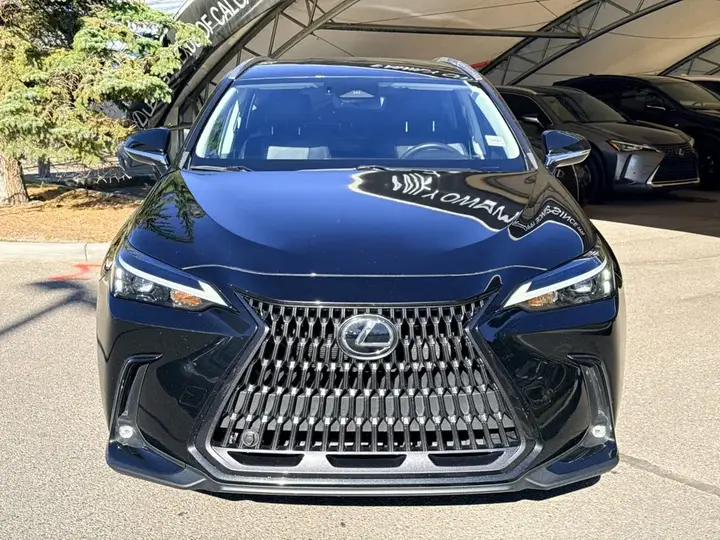 Lexus Nx 2023 photo 2